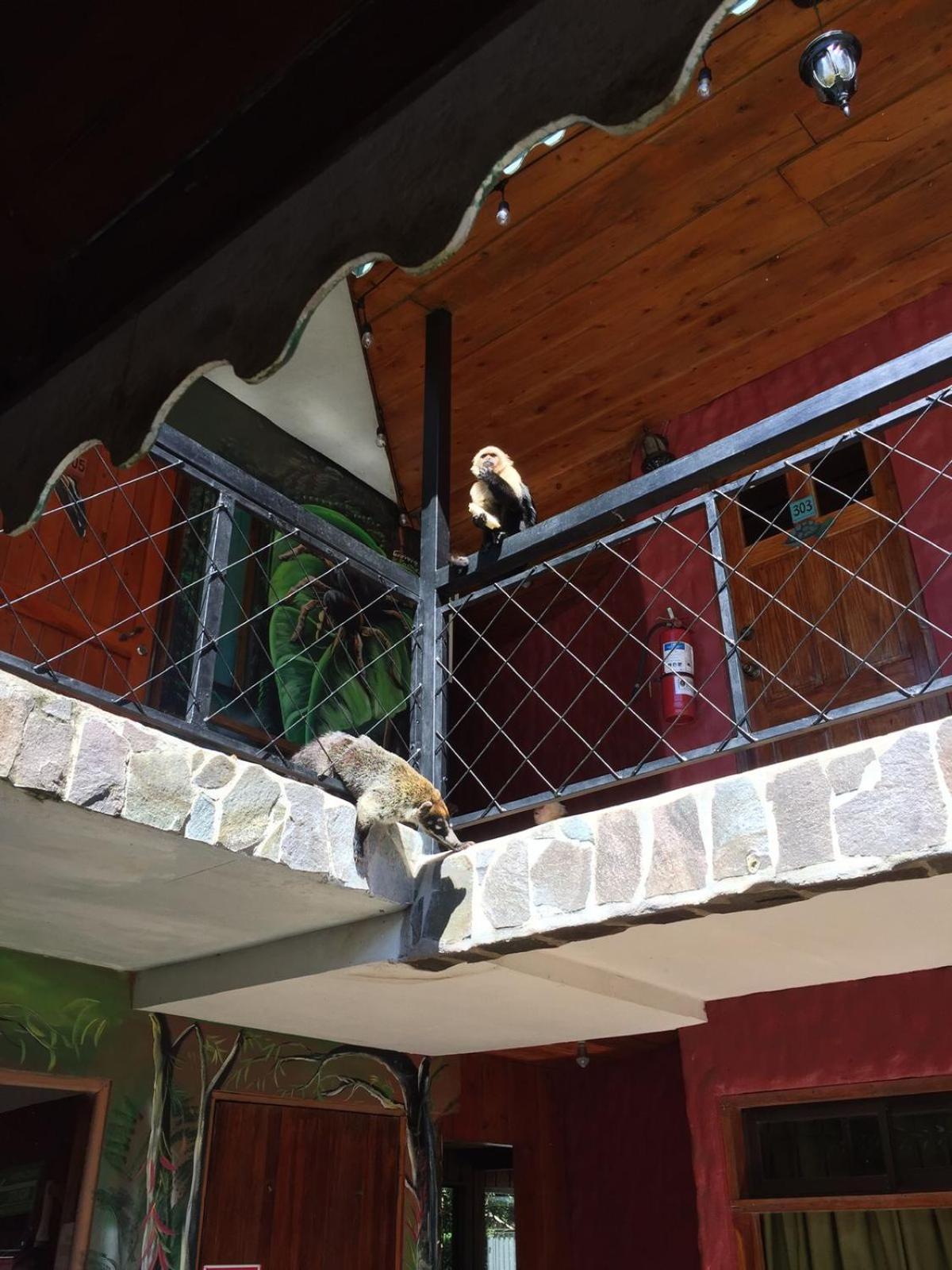Manakin Lodge, Monteverde Exteriör bild